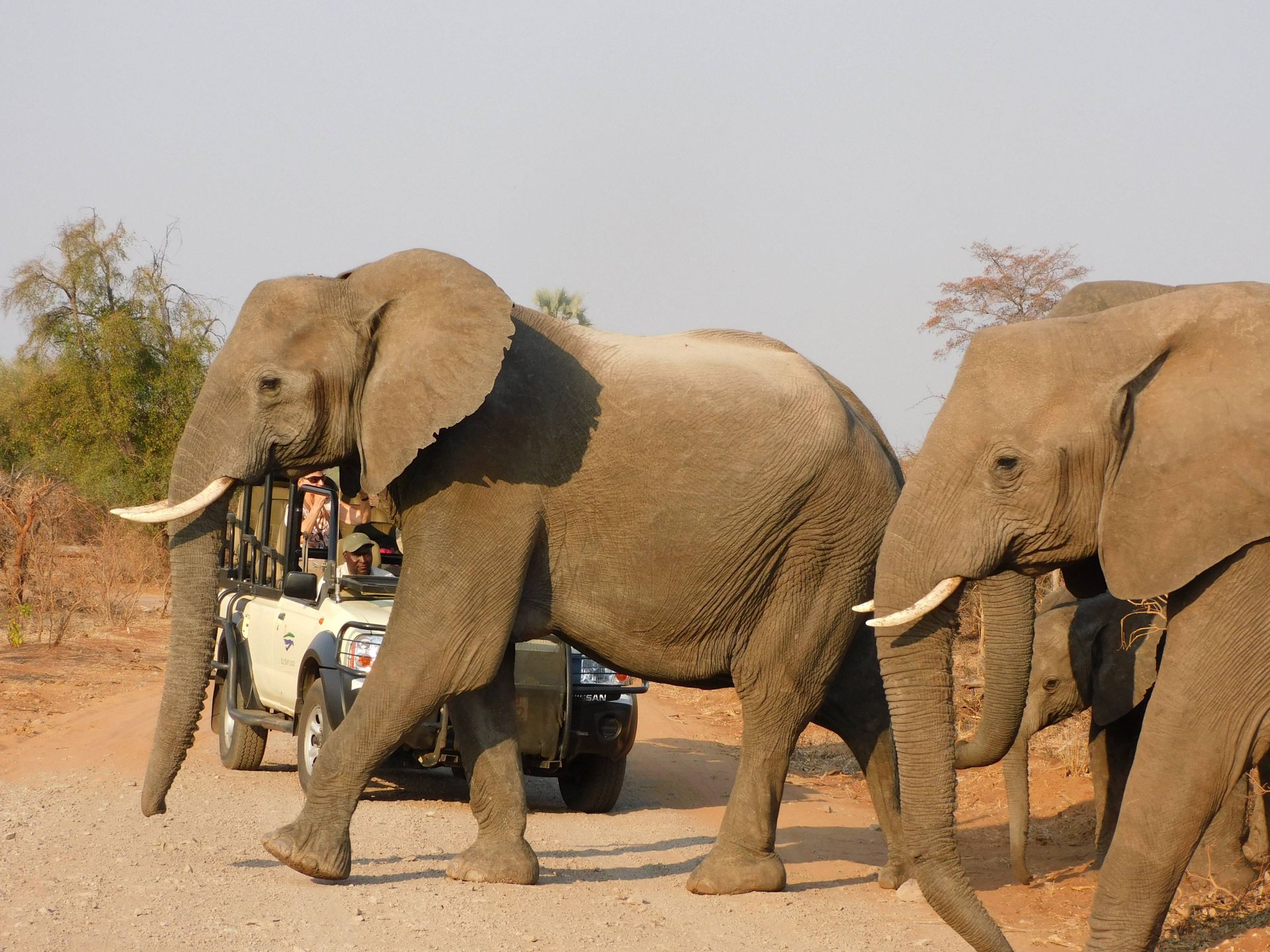 The Wallow Lodge en Victoria Falls