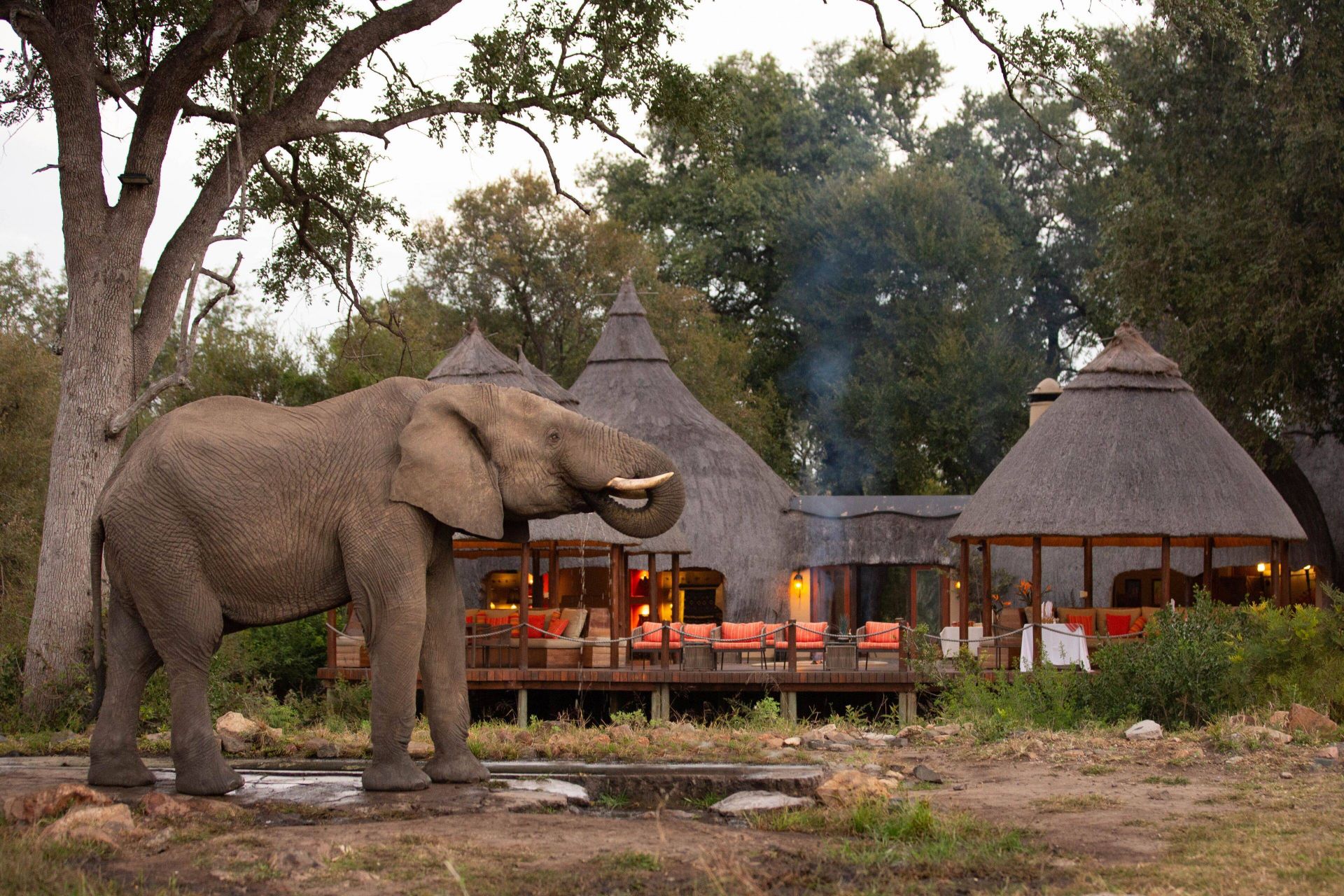 Hoyo Hoyo Safari Lodge en Kruger National Park