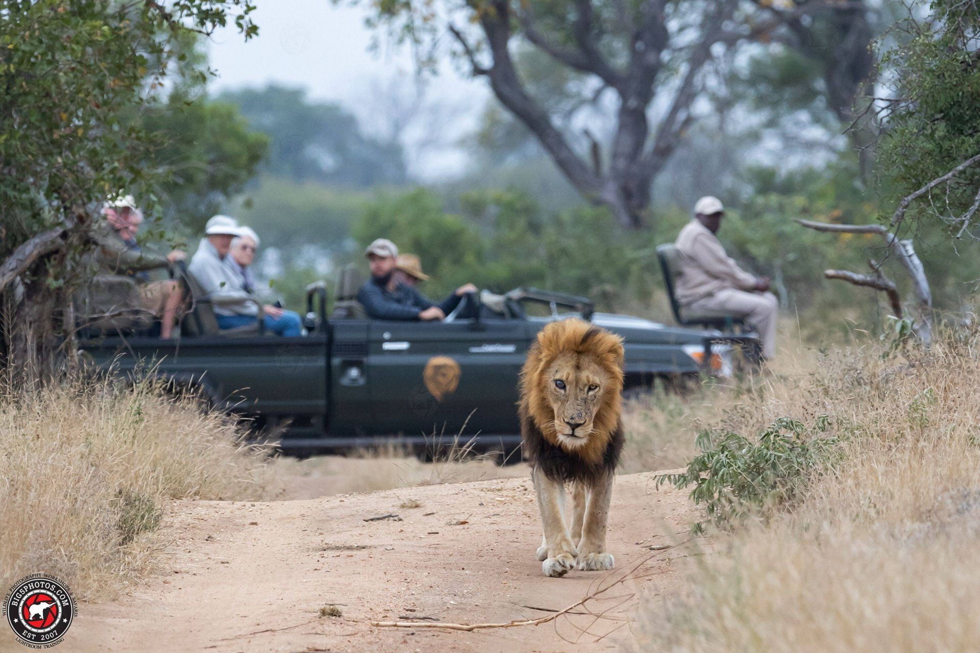 Shumbalala Game Lodge en Kruger National Park