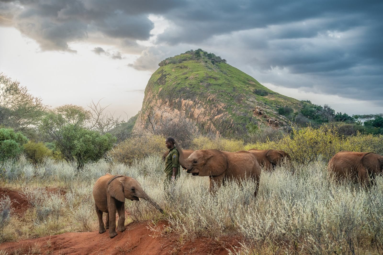 Reteti House en Namunyak Wildlife Conservancy
