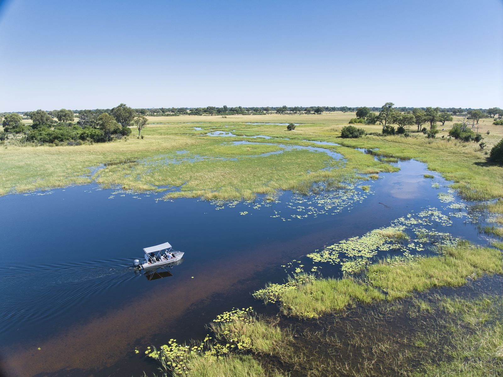 Karangoma en Delta Okavango