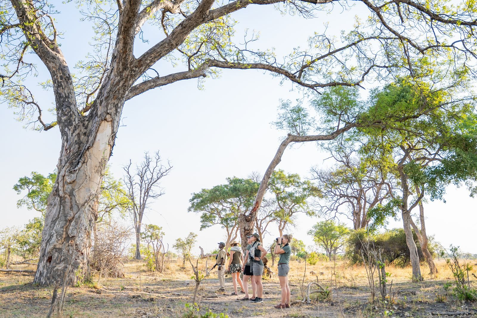 Karangoma en Delta Okavango