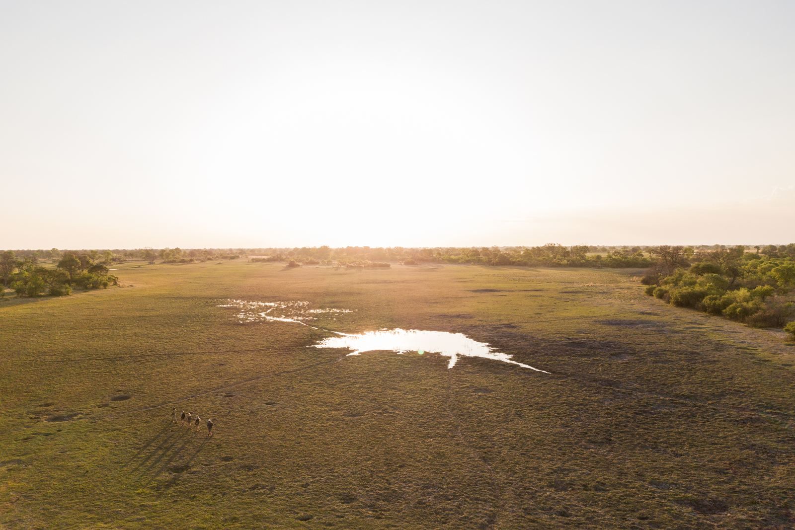 Karangoma en Delta Okavango