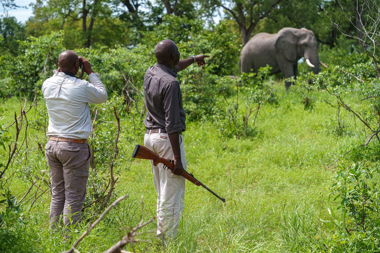 Karangoma en Delta Okavango