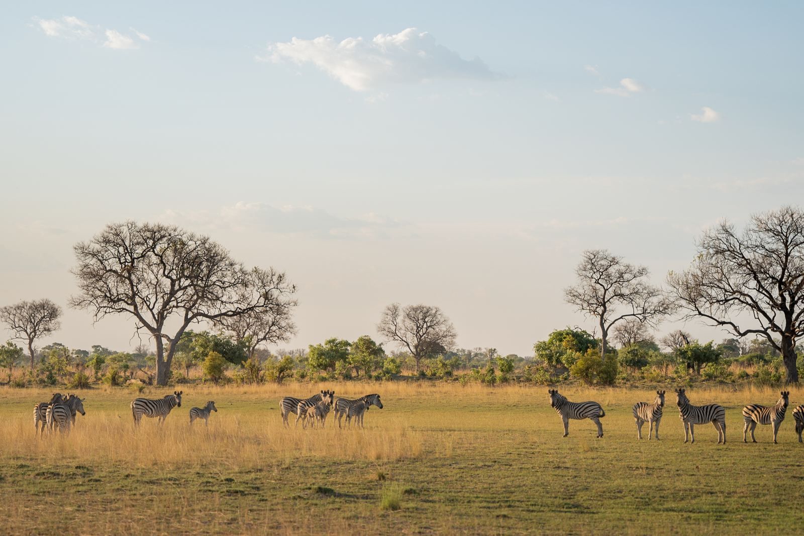 Karangoma en Delta Okavango