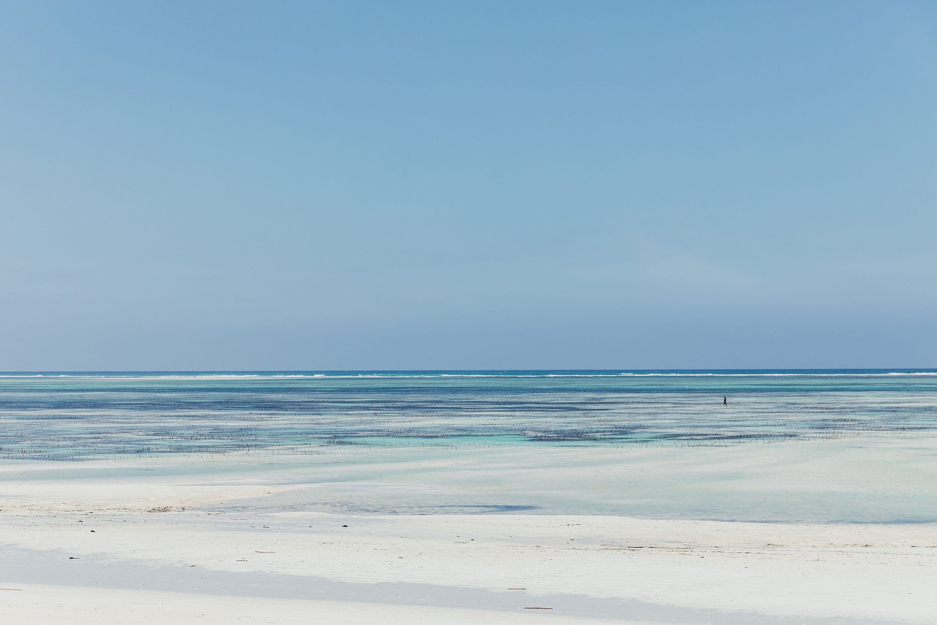 LUX Marijani en Zanzibar