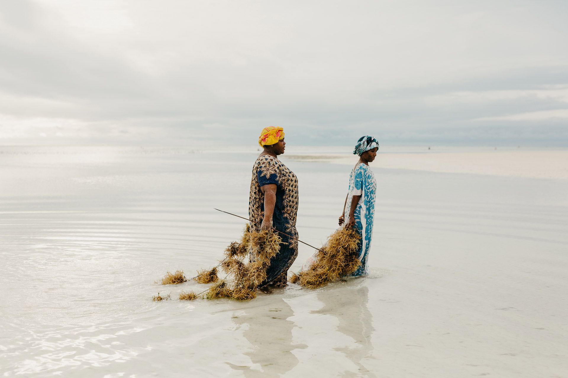 LUX Marijani en Zanzibar