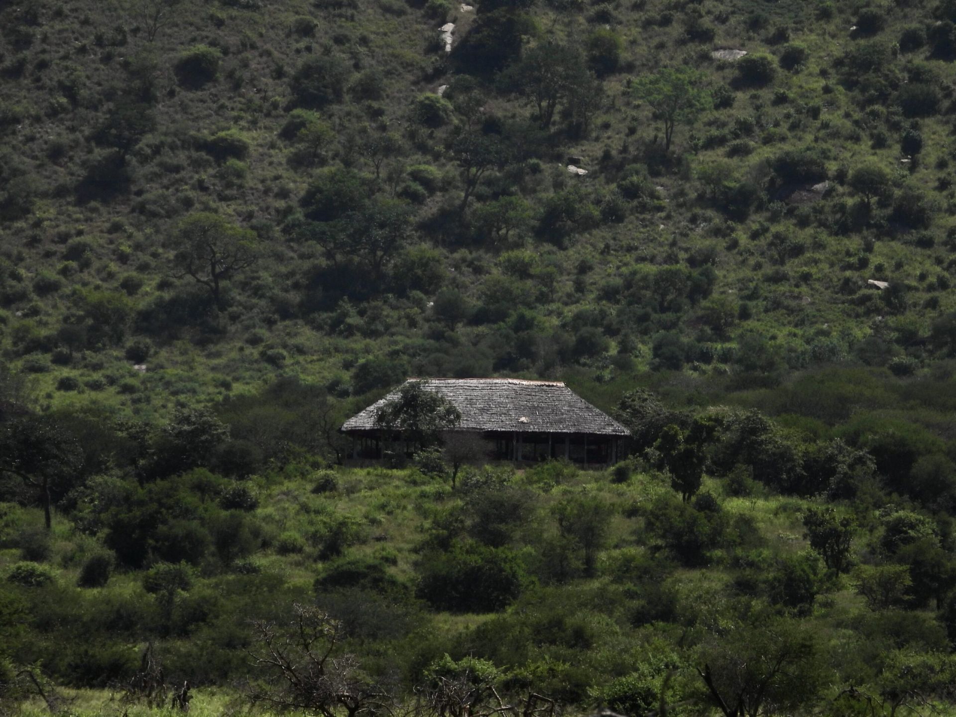 Babu's Camp en Mkomazi National Park