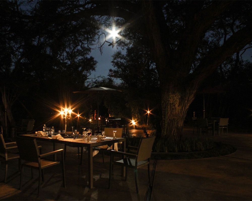 Camelthorn Lodge en Hwange