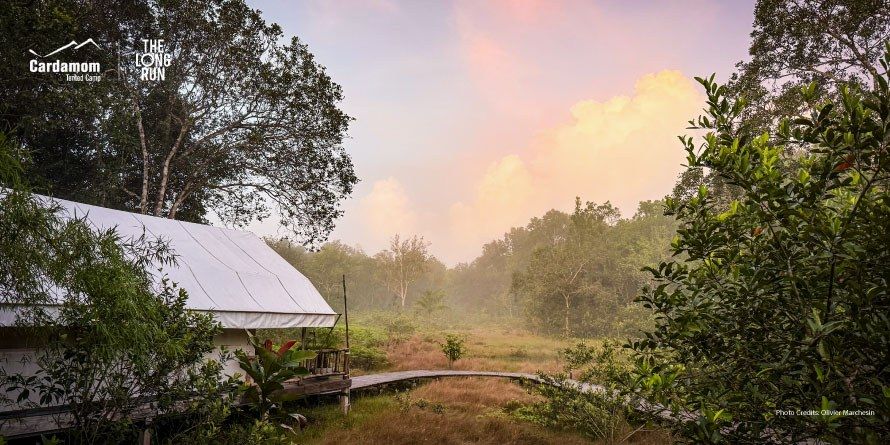 Cardamom Tented Camp en Botum Sakor National Park