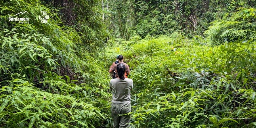 Cardamom Tented Camp en Botum Sakor National Park