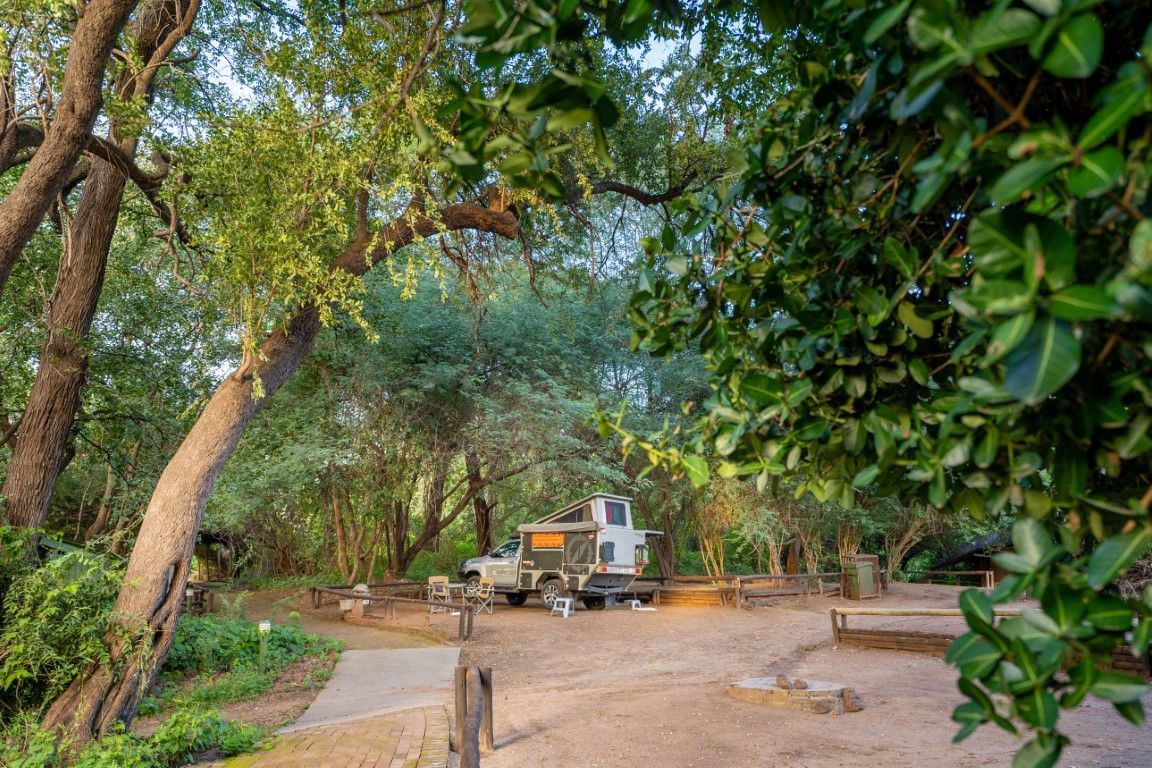 Chobe Bush Lodge en su destino