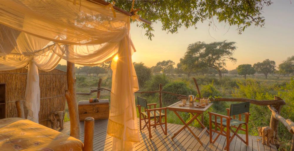 Flatdogs Jackalberry Treehouse en Luangwa Valley