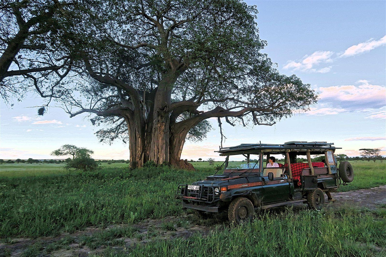 Honeyguide tarangire camp 14