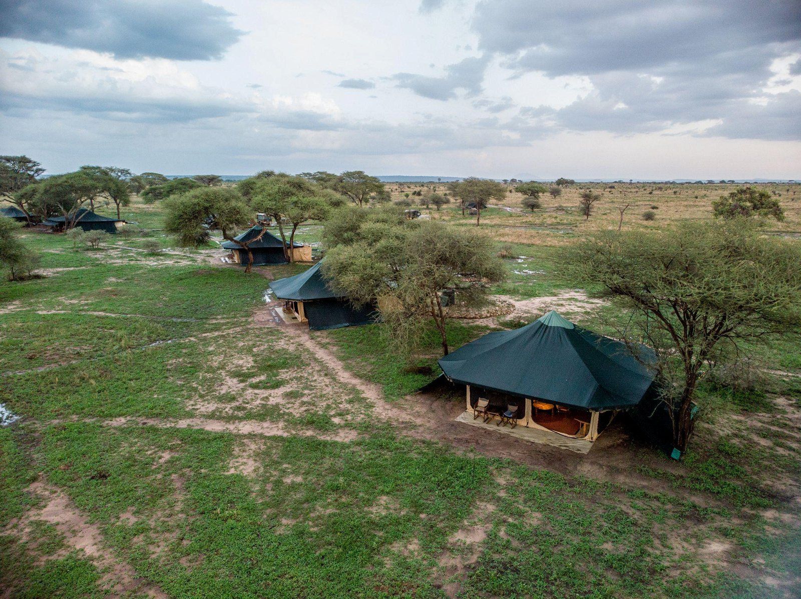 Honeyguide tarangire camp 32