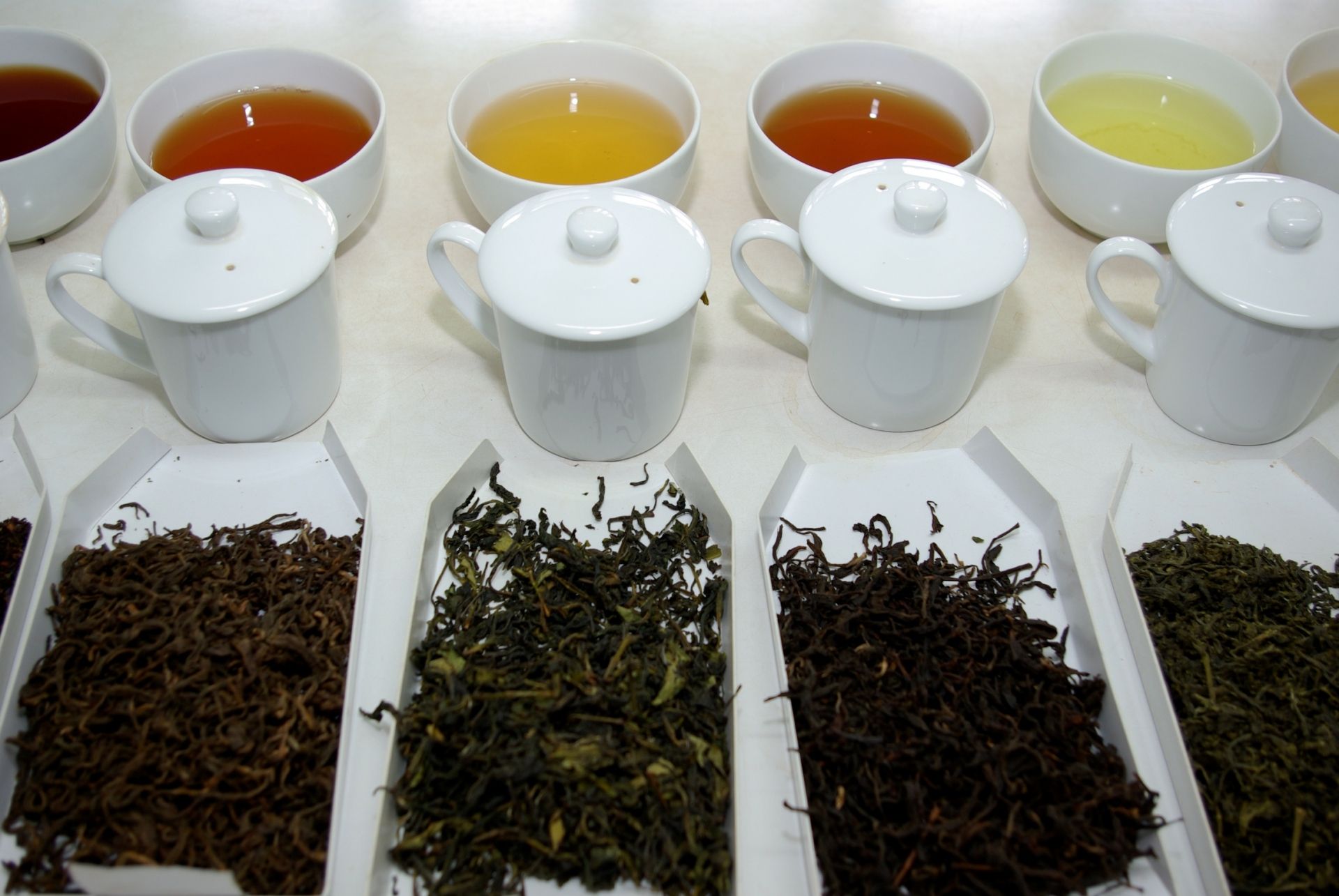 Satemwa Tea Estate | LAT.40