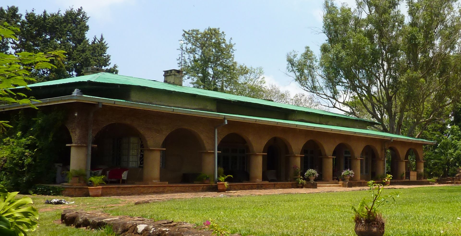 Satemwa Tea Estate | LAT.40
