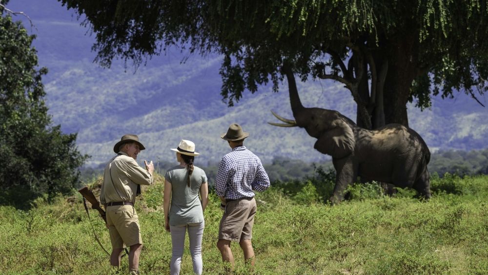 John's Camp en Mana Pools