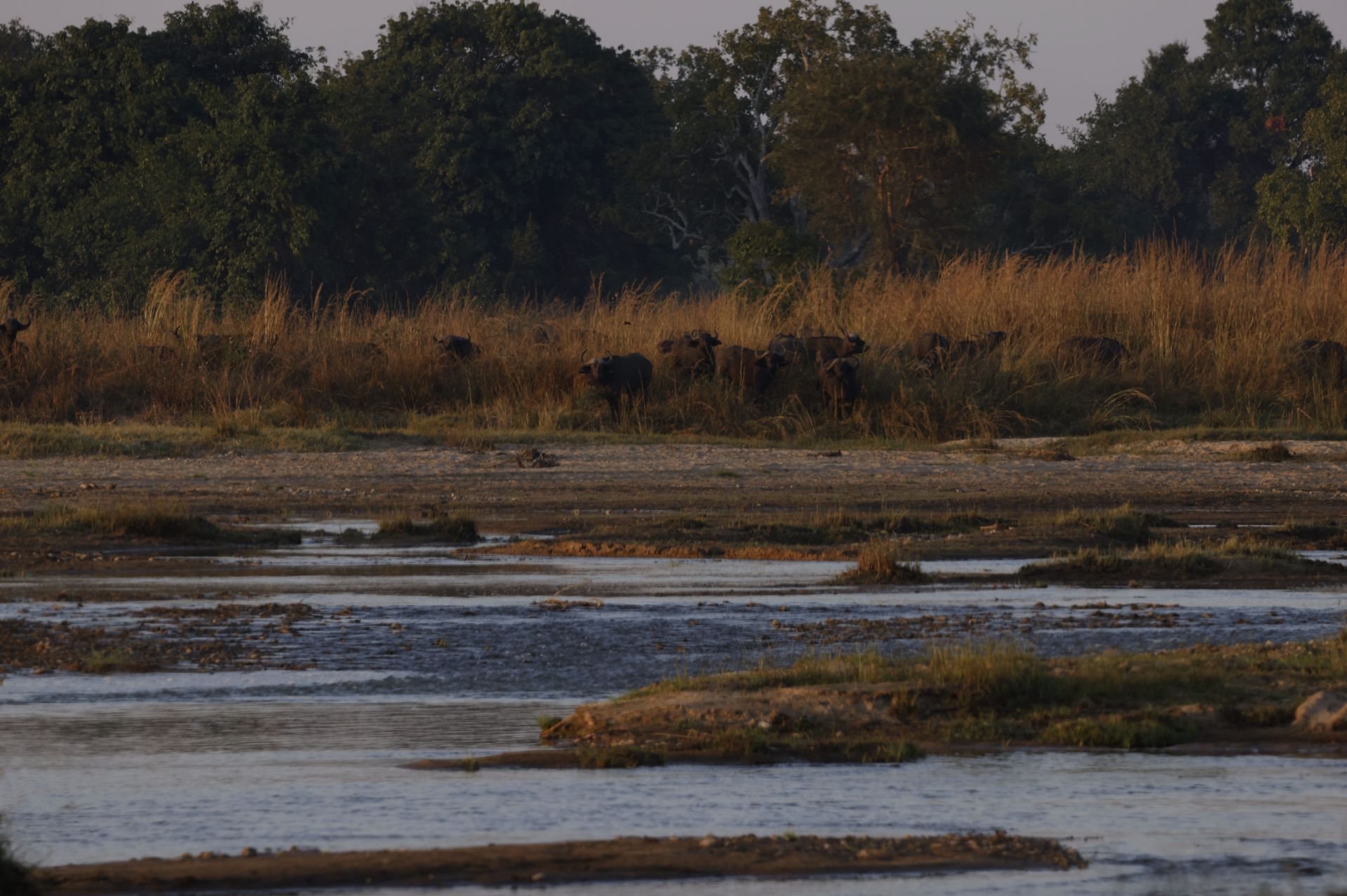 Kutandala Camp en North Luangwa