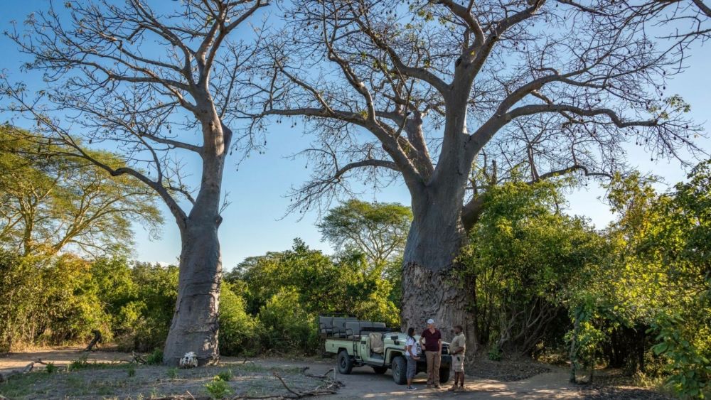 Kuthengo Camp en Parque Nacional de Liwonde