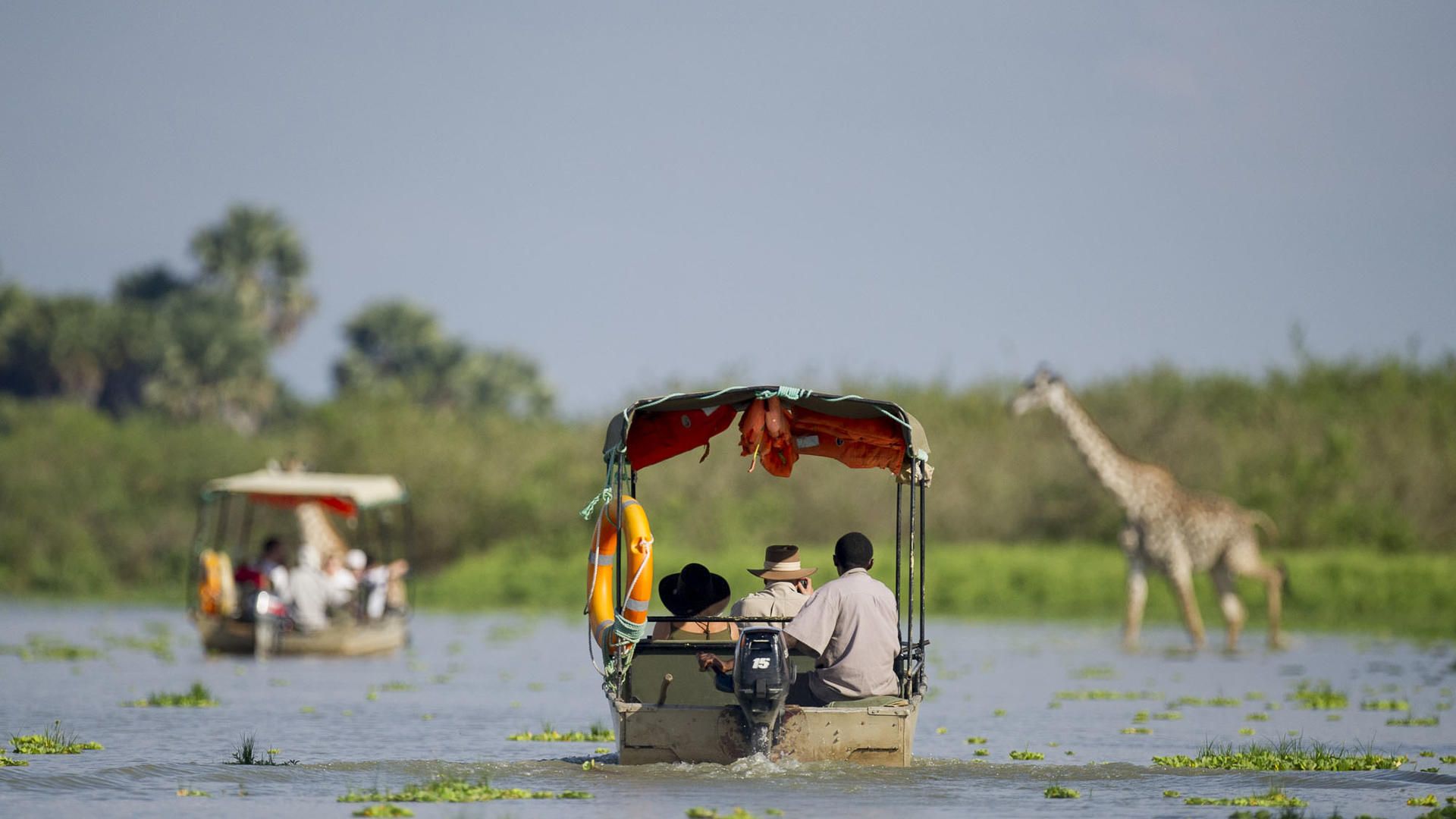 5 boat safari 31