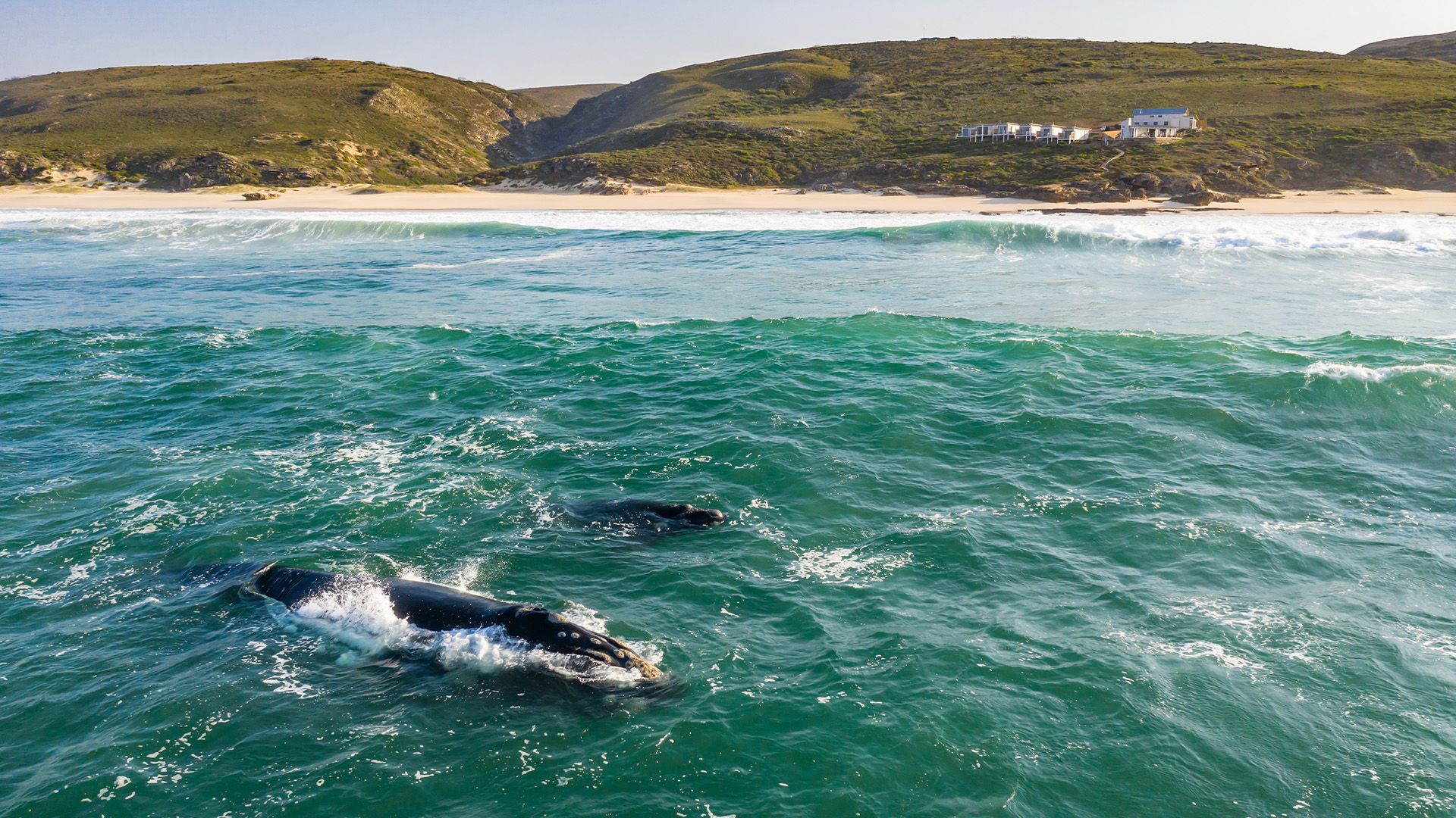 Lekkerwater Beach Lodge at De Hoop en De Hoop
