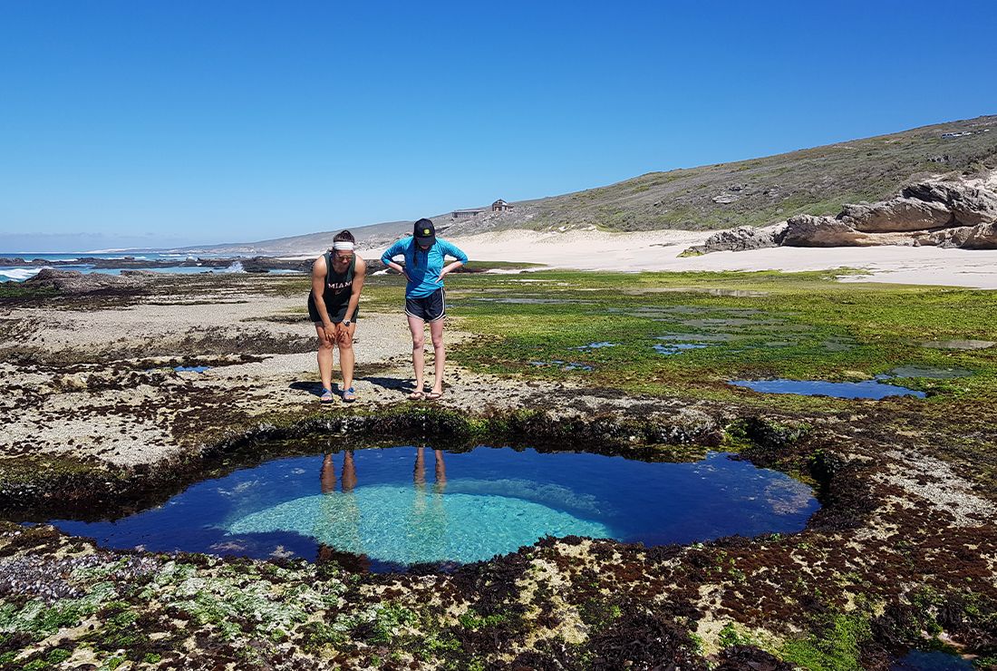 Mulitpurpose 1100x740 0004 sa lekkerwater colin bell l4 rockpool9