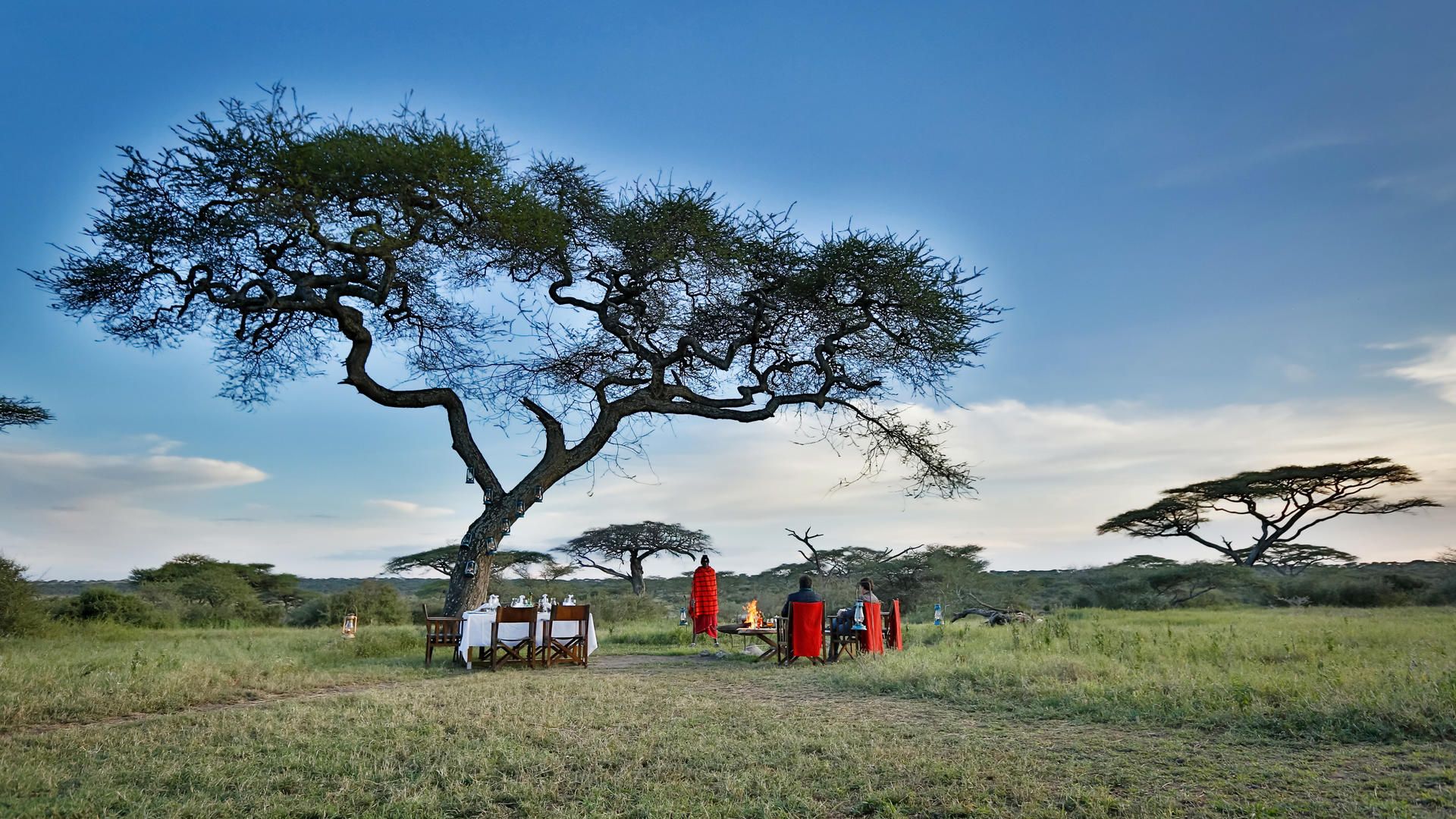Lemala ndutu