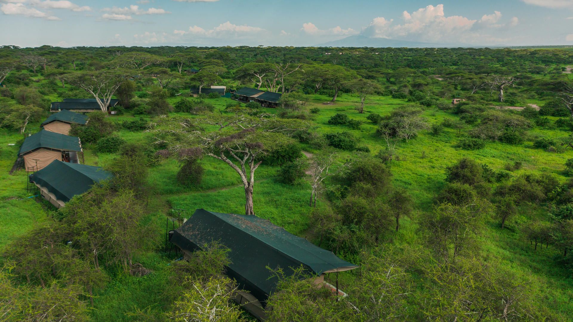 Lemala ndutu
