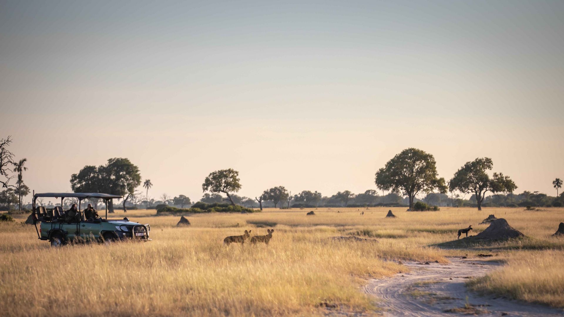 Little Makalolo Camp en Hwange