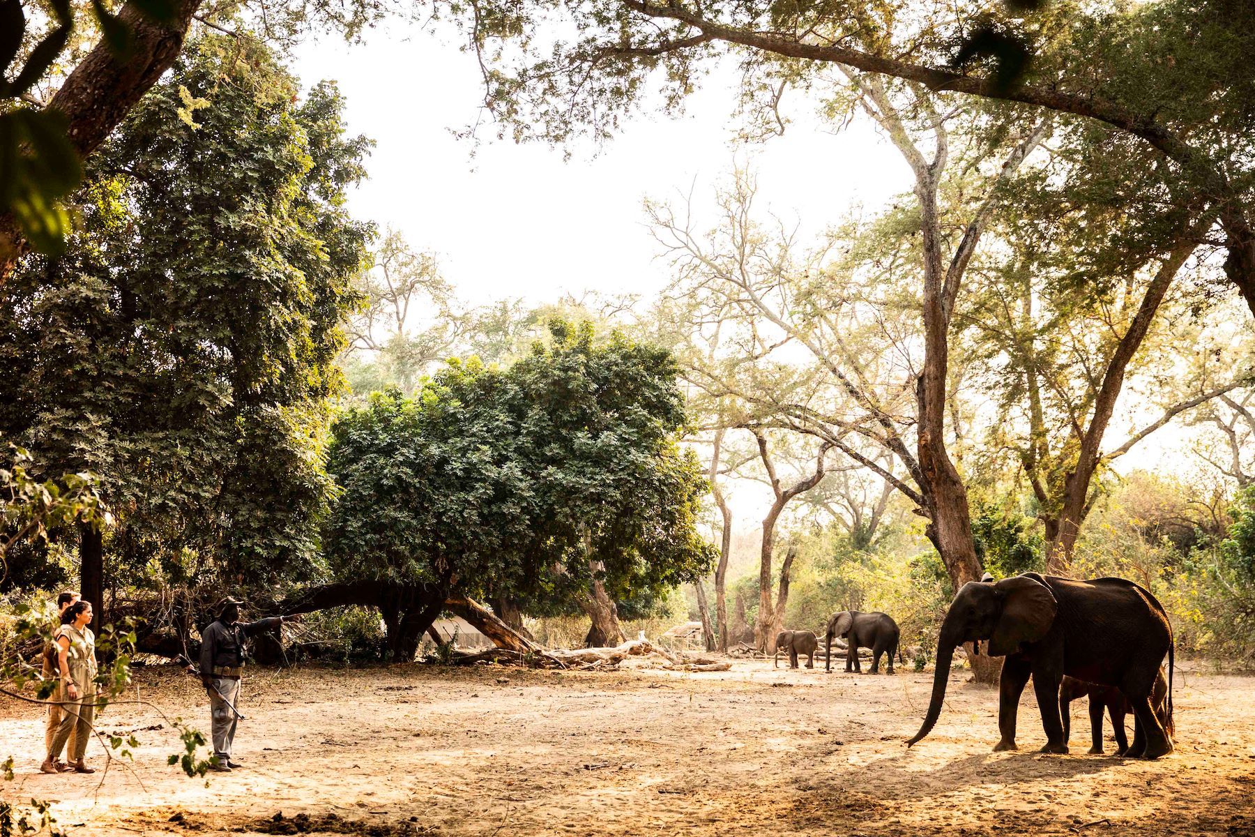 Little Ruckomechi Camp en Mana Pools