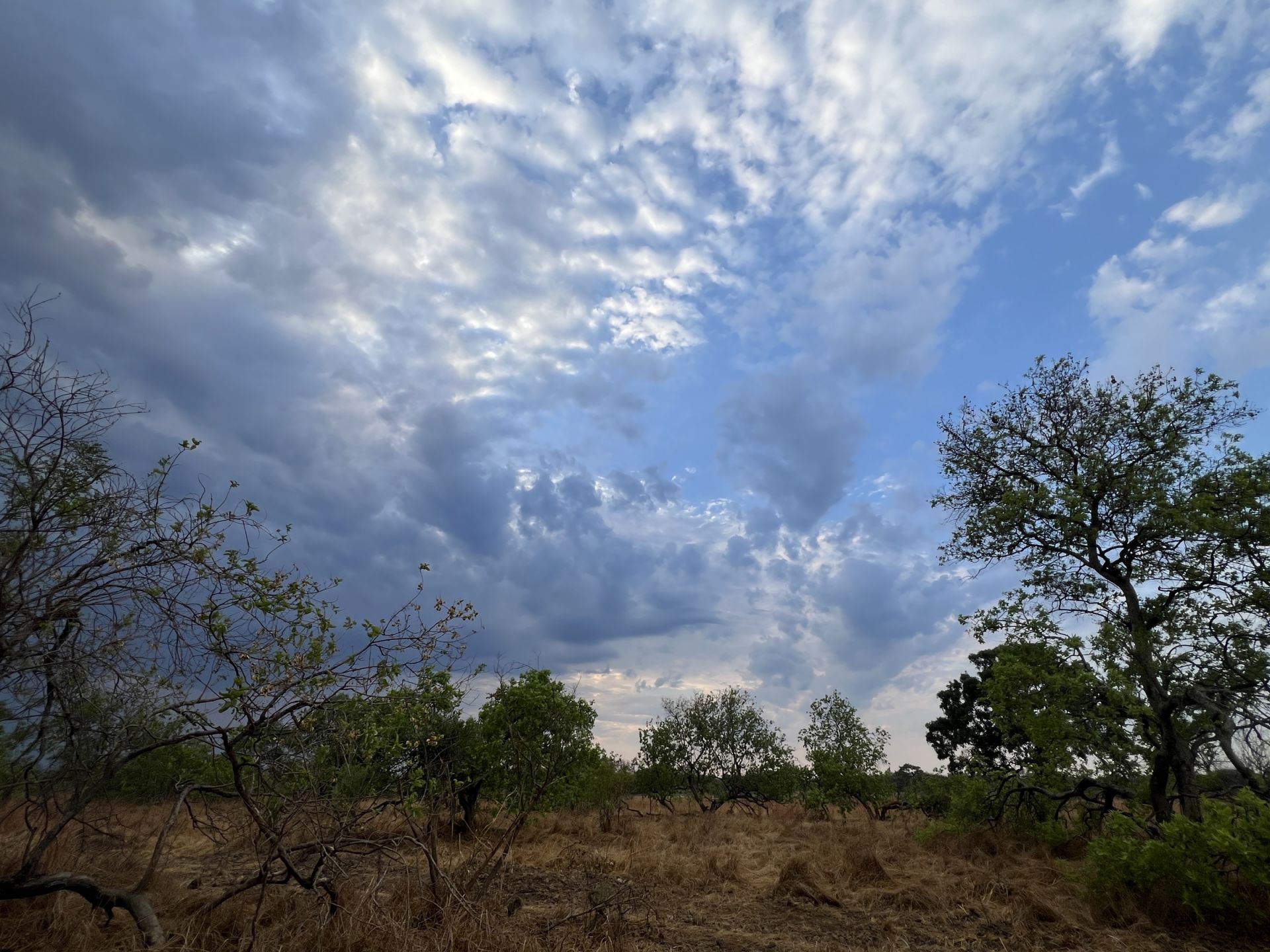 Mawimbi Bush Camp en Kafue