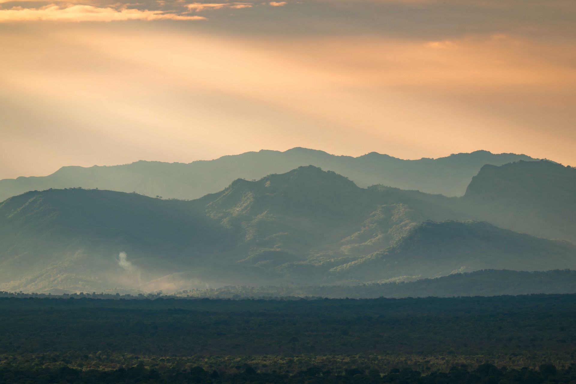 Wellworth mikumi wildlife lodge