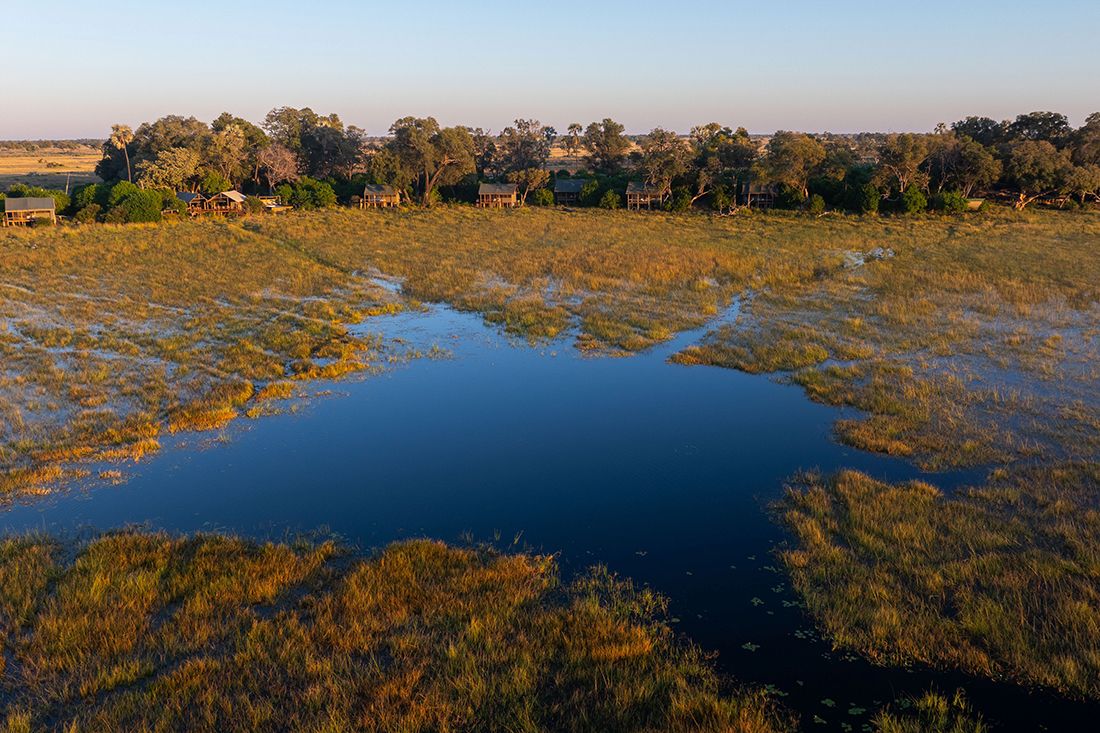 Mokolwane en Delta Okavango