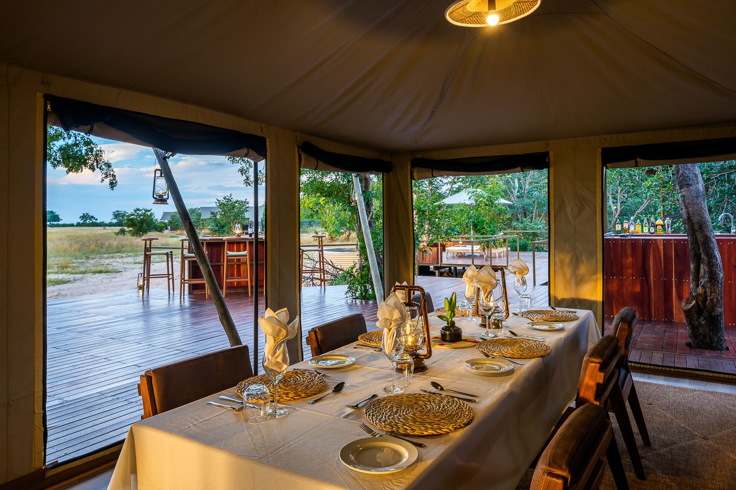 Muddy Teak en Hwange