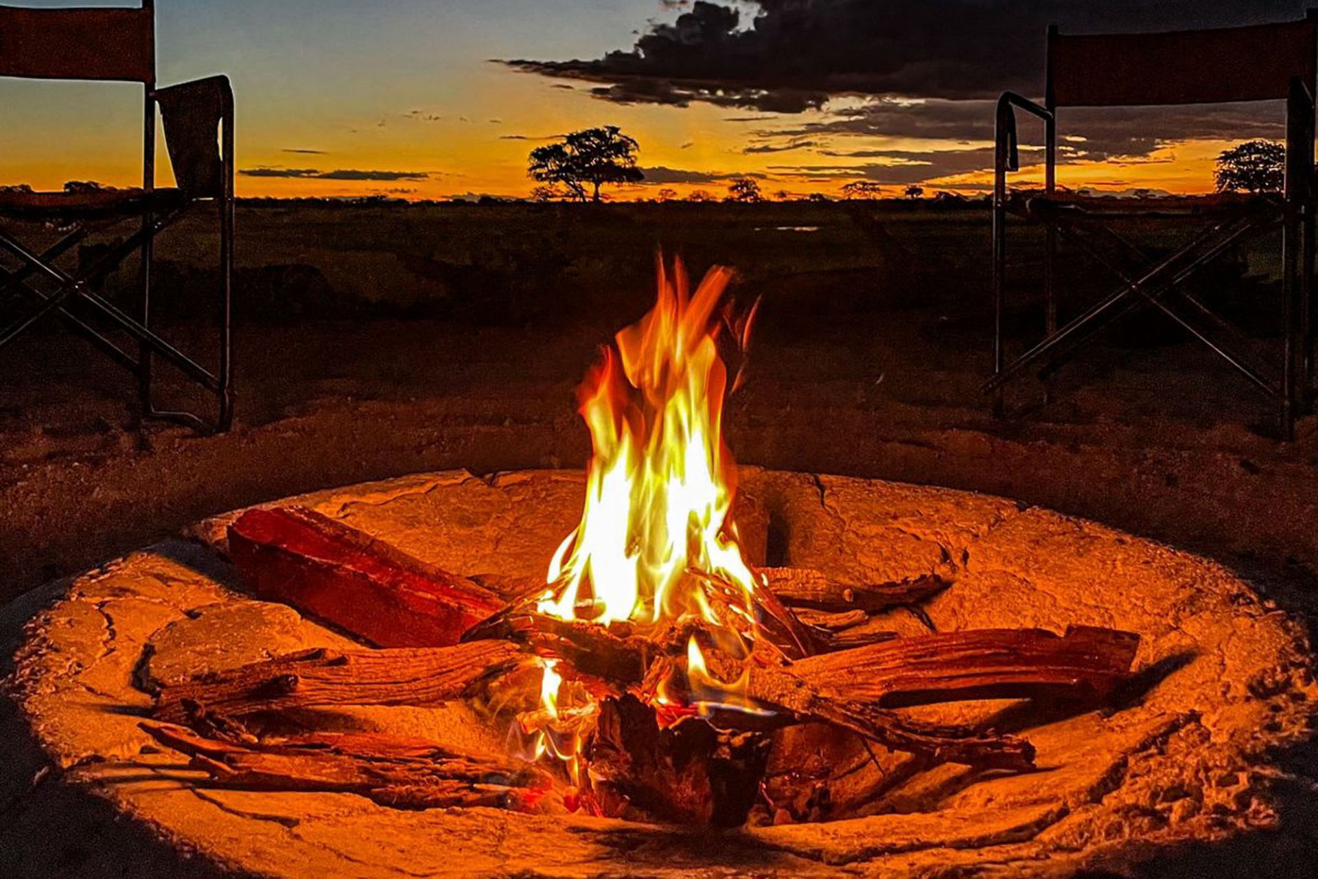 Muddy Teak en Hwange