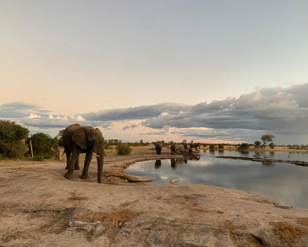 Nehimba Safari Lodge en Hwange