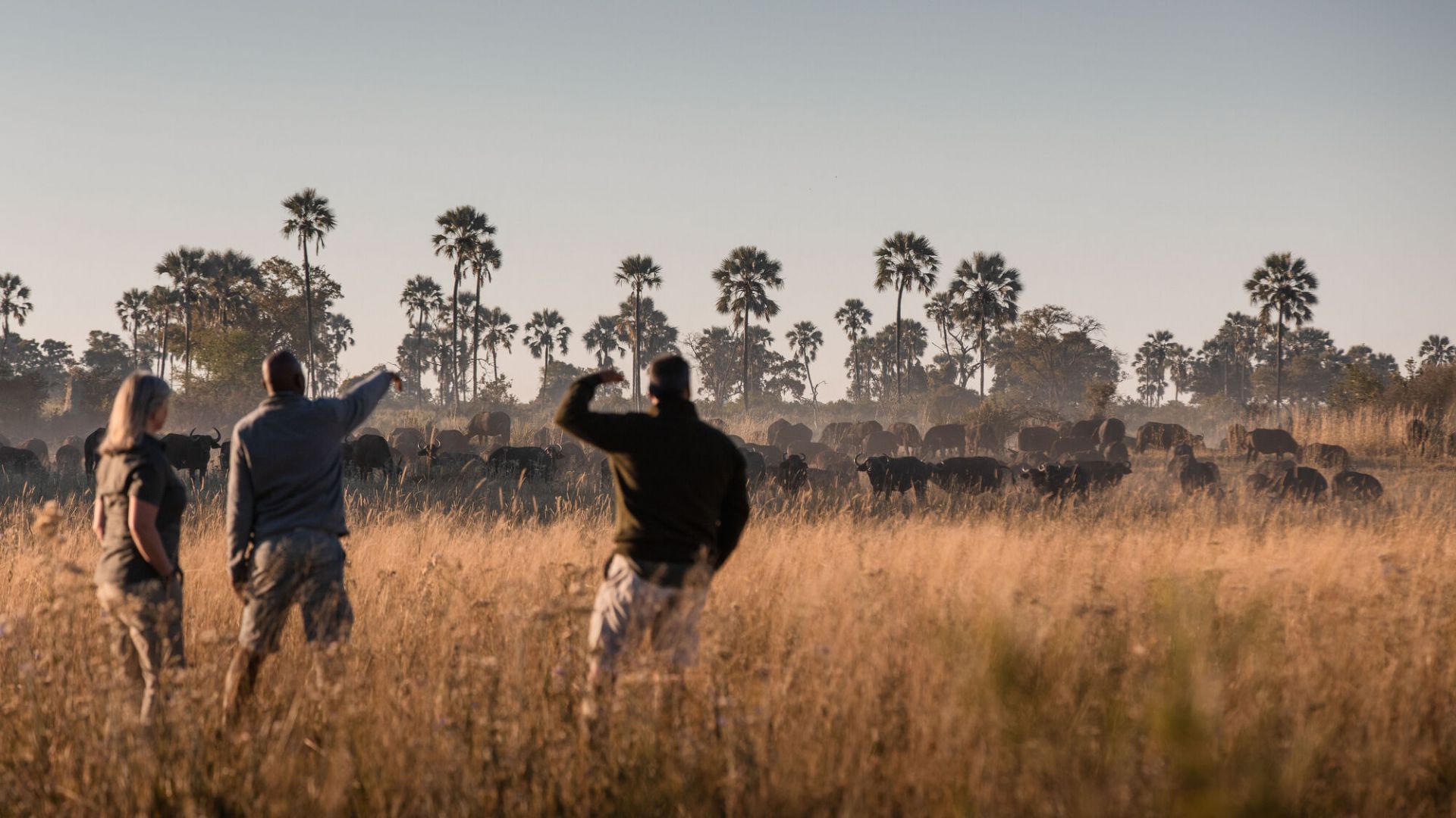 Nkonzi Camp en Luangwa Valley