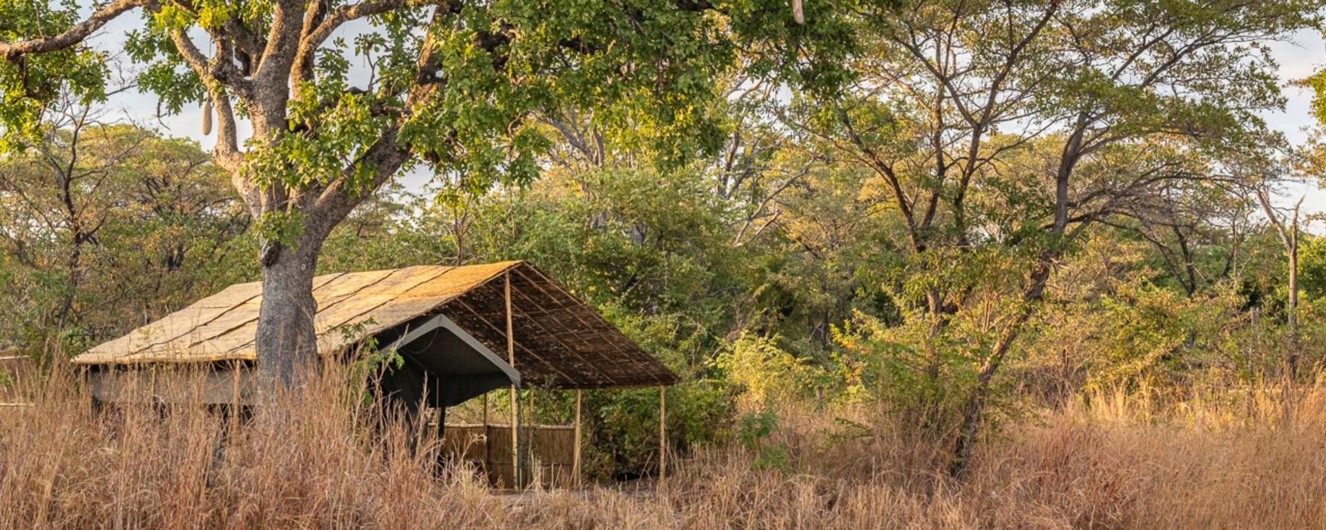 Nkonzi Camp en Luangwa Valley