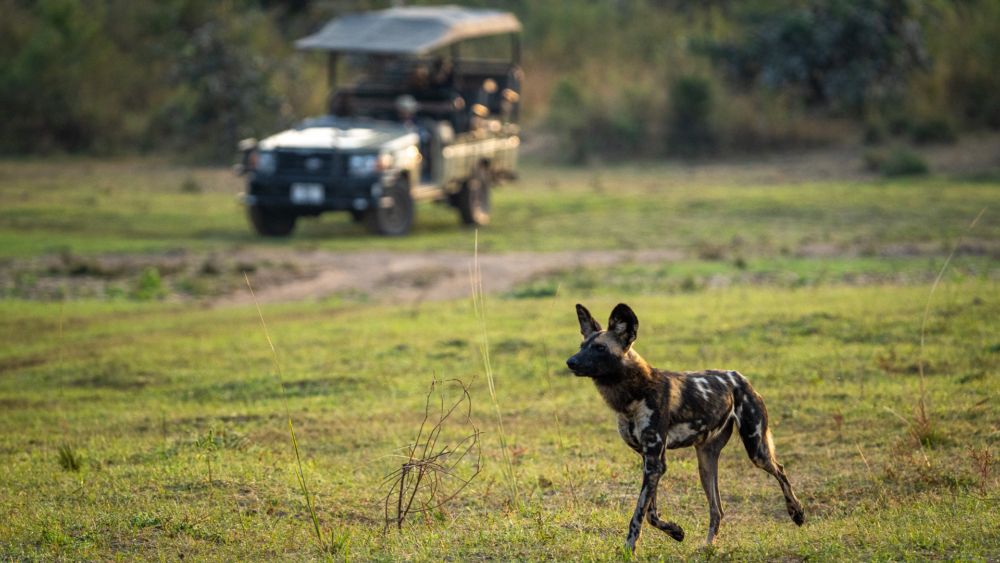 Nkwali Camp en Luangwa Valley