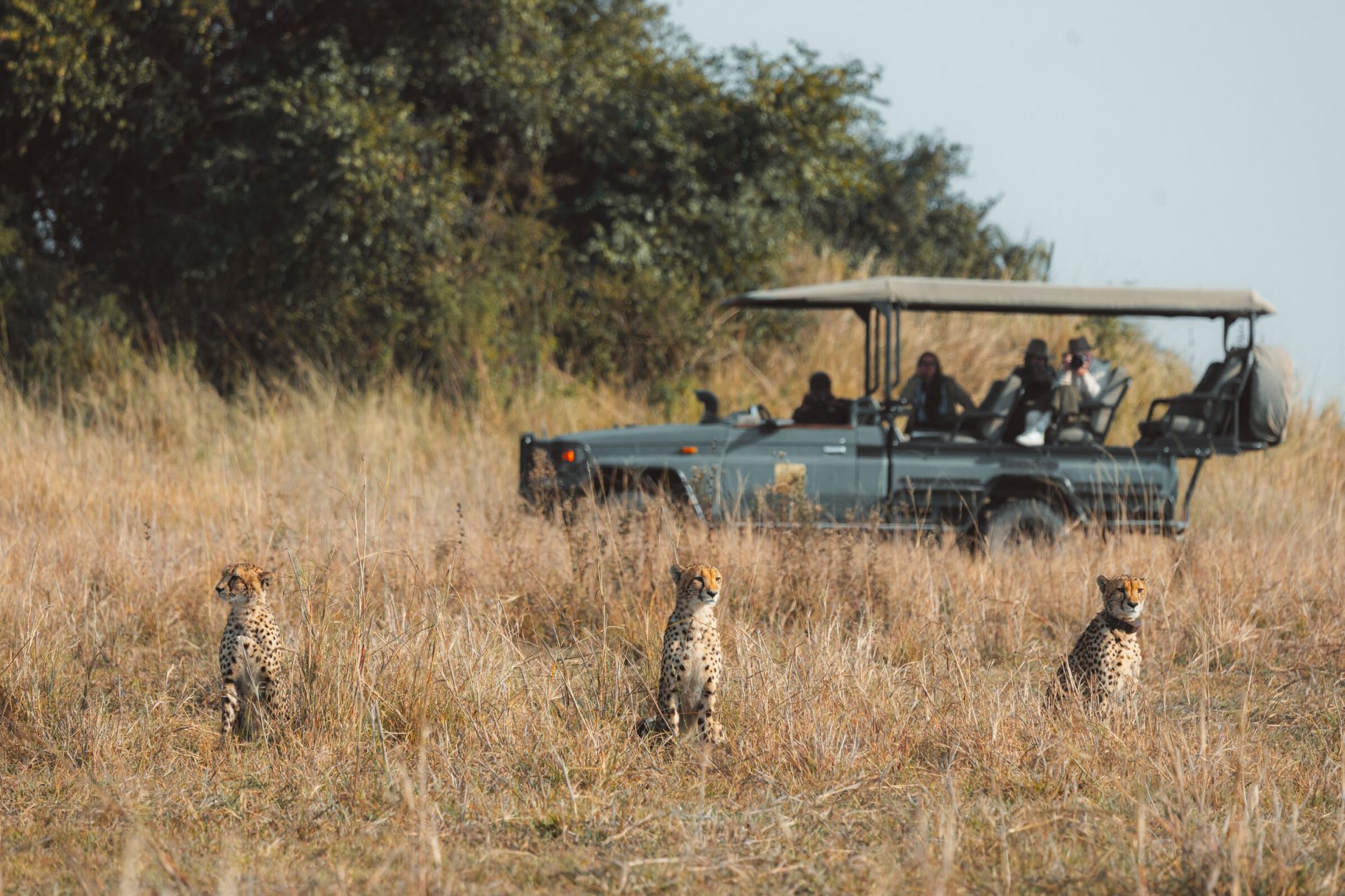 Ntemwa-Busanga Camp en Busanga Plains
