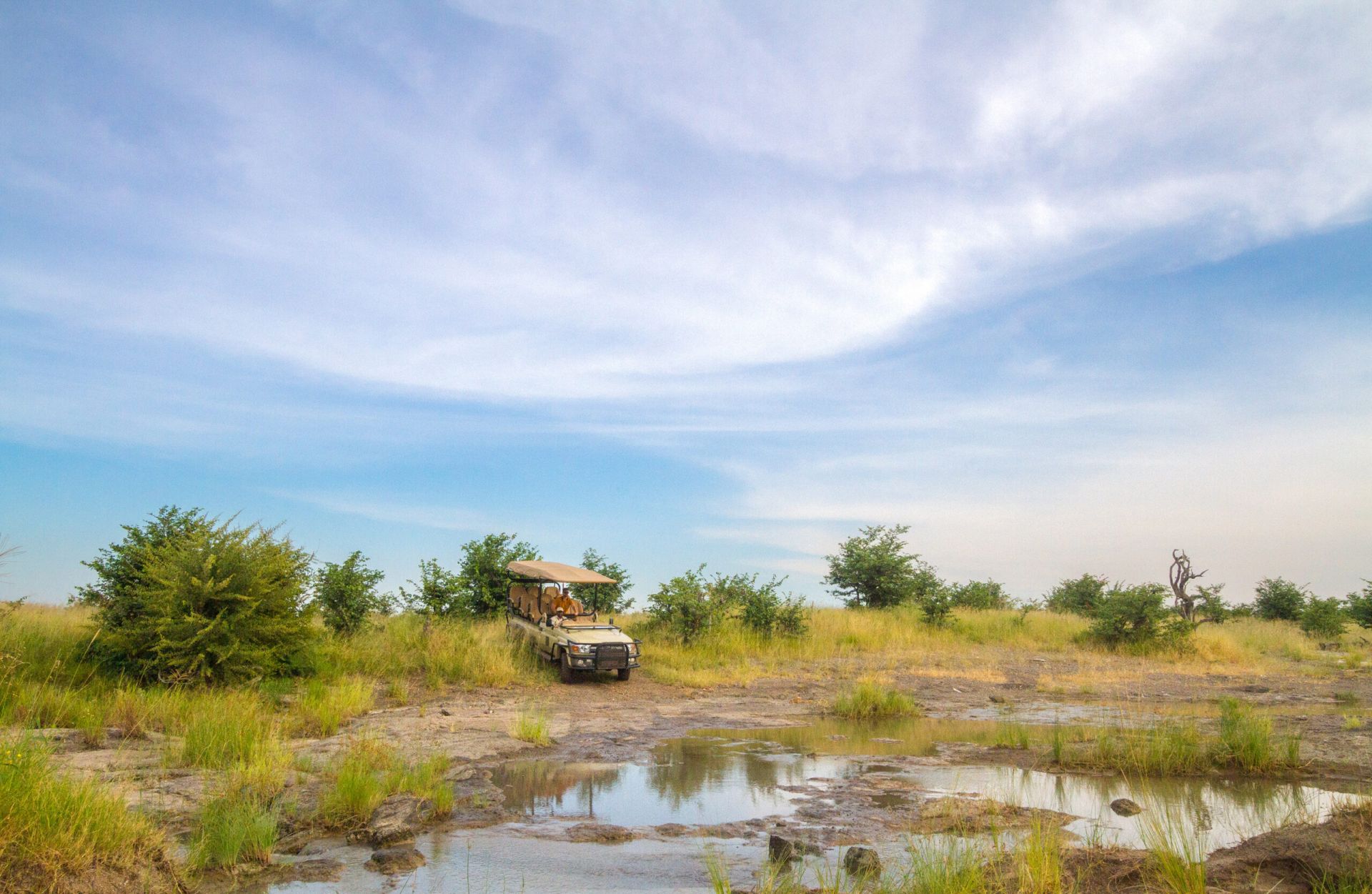 Robins Camp en Hwange