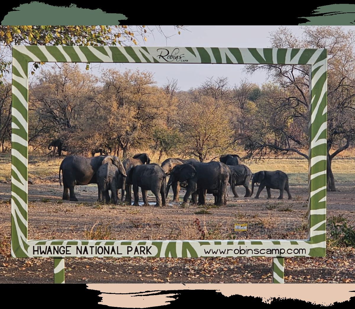 Robins Camp en Hwange