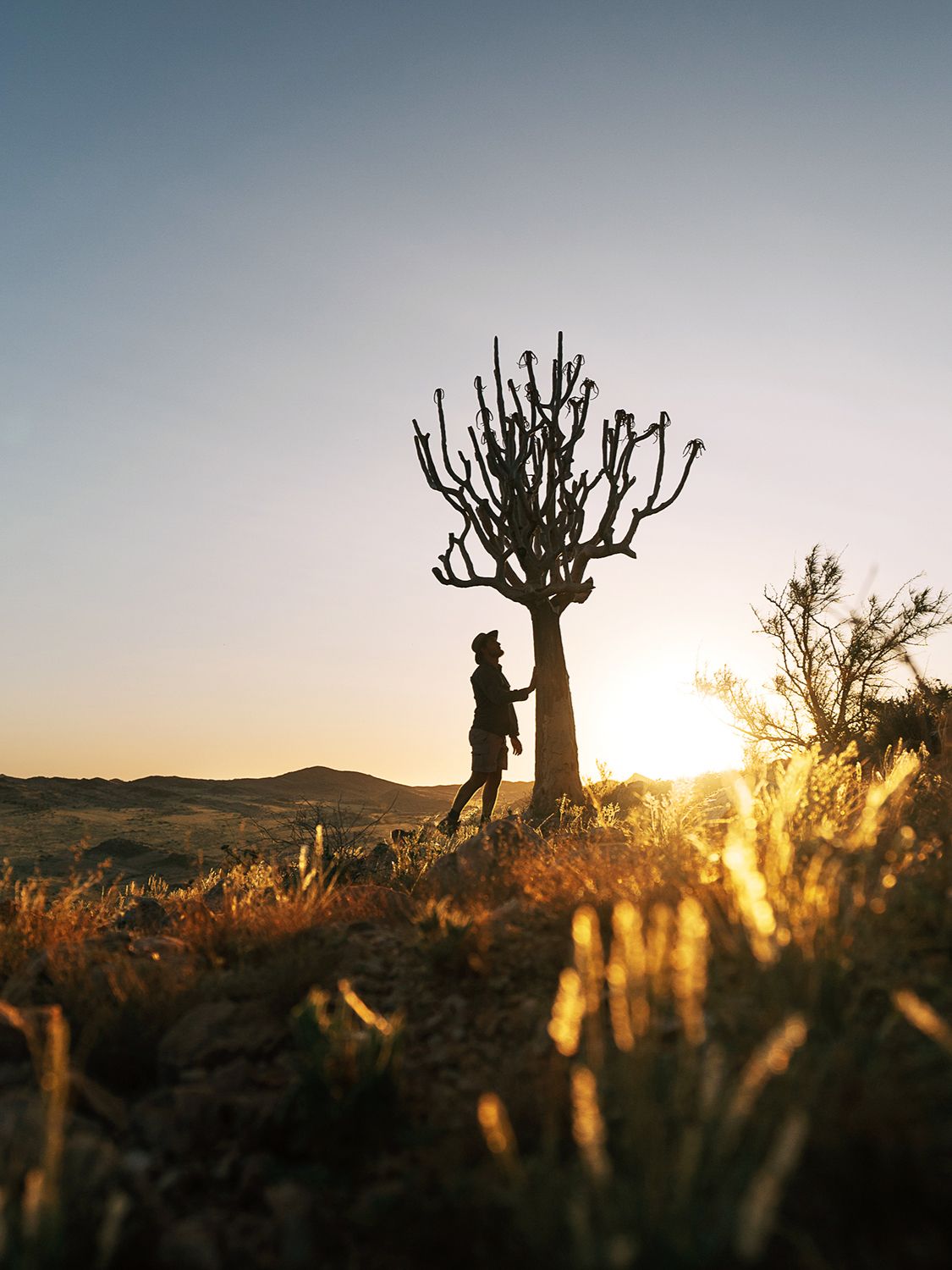 Sandfontein Lodge and Nature Reserve en Sur de Namibia