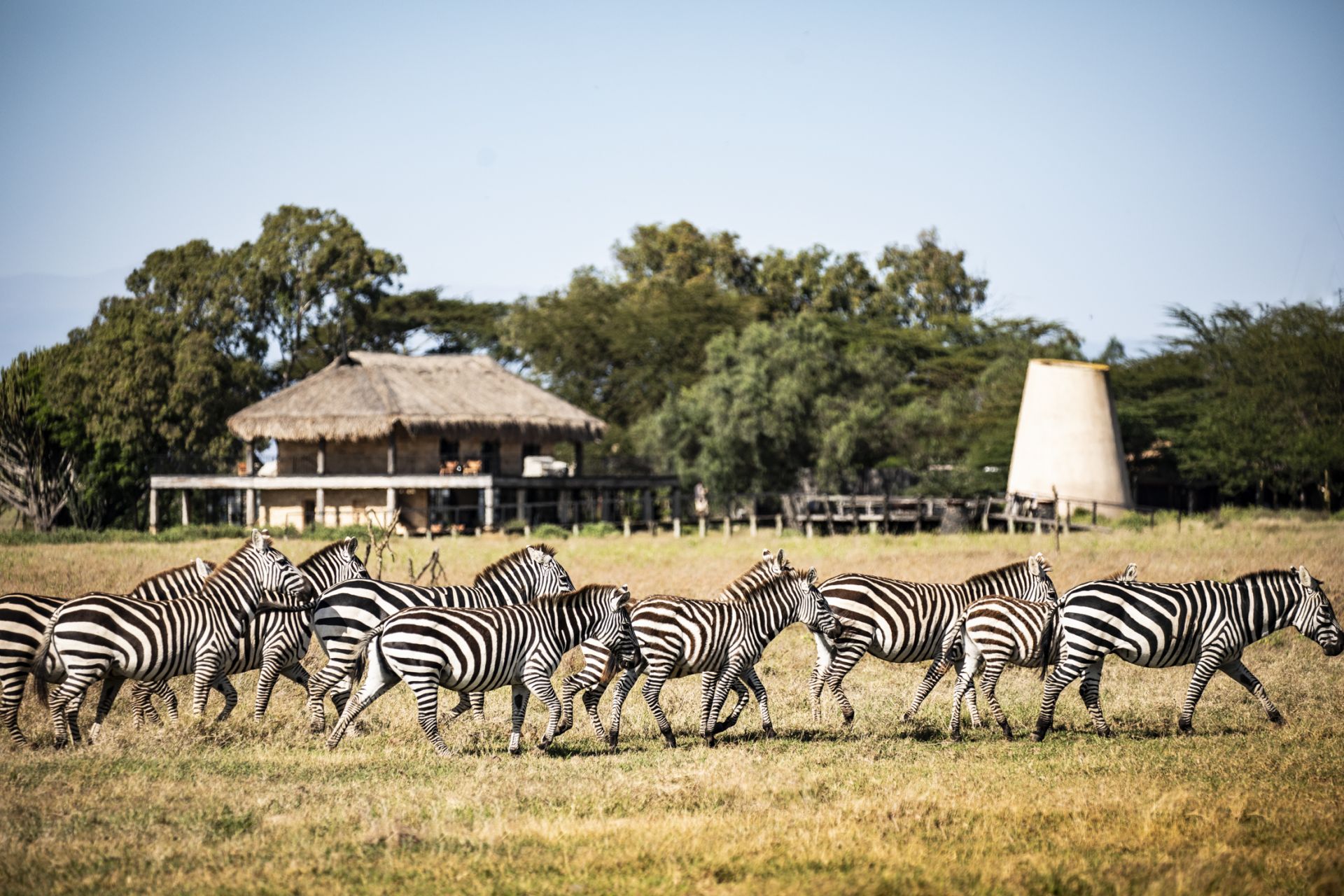 Segera Retreat en Laikipia 