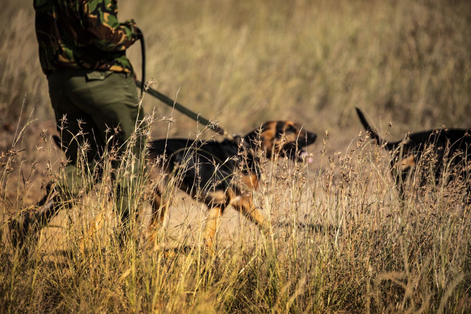 Segera Retreat en Laikipia 