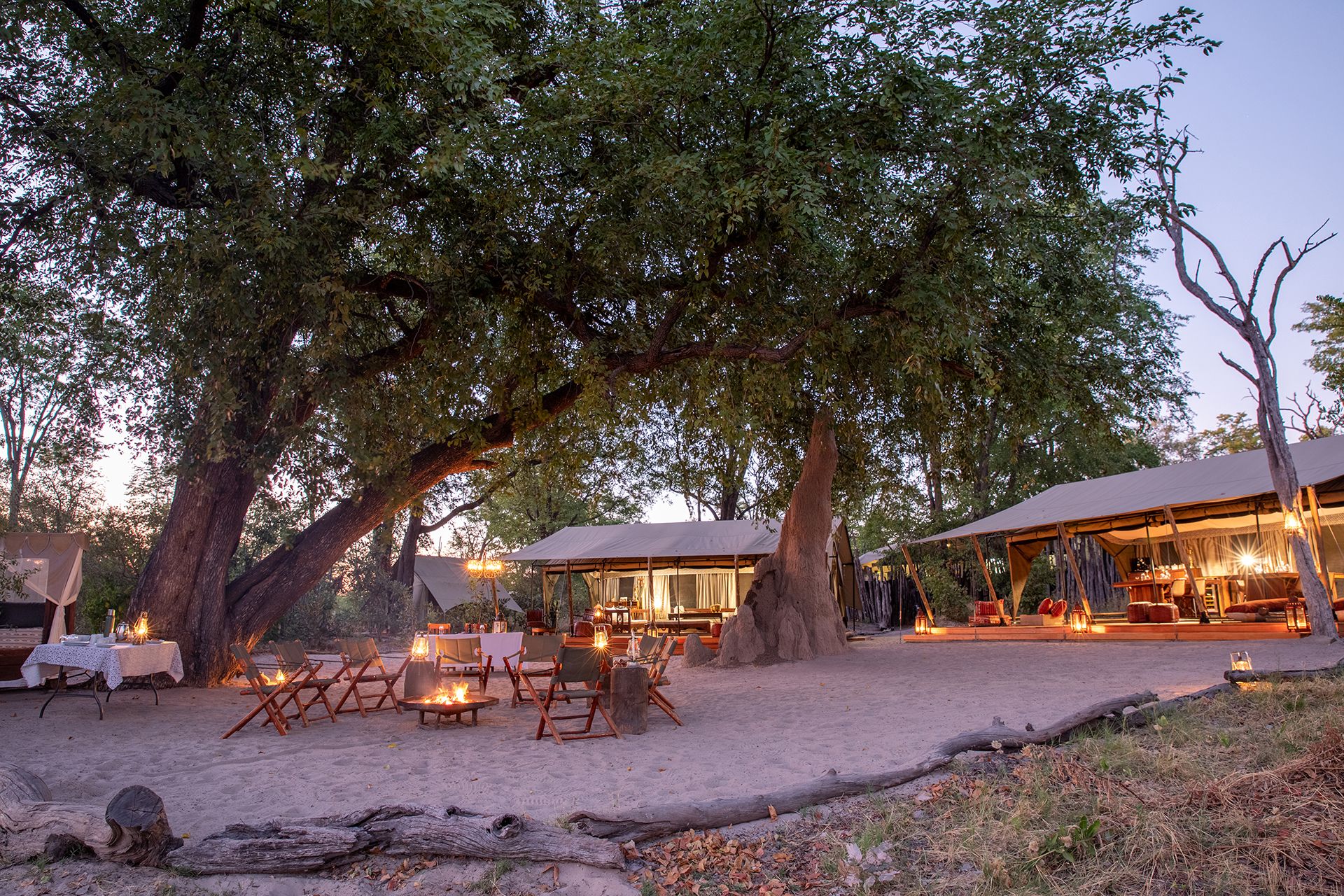 Selinda Explorers Camp en Reserva de Selinda