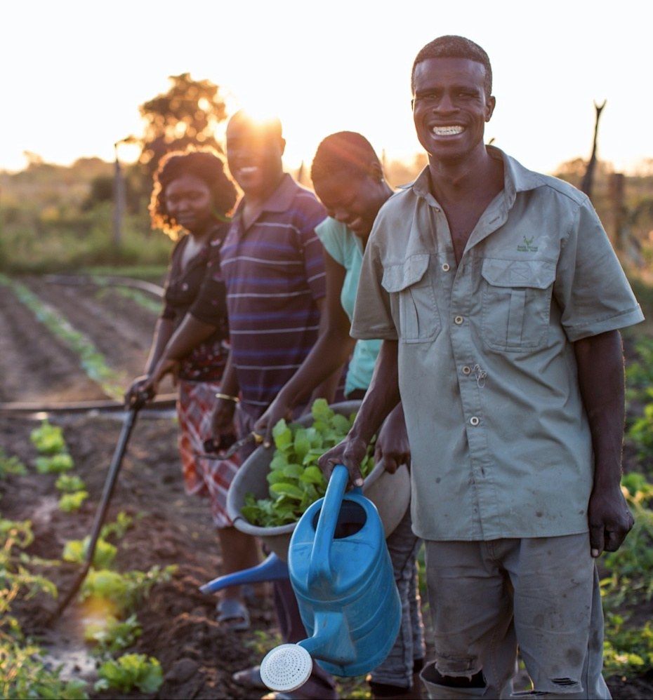 Ebony conservation partner