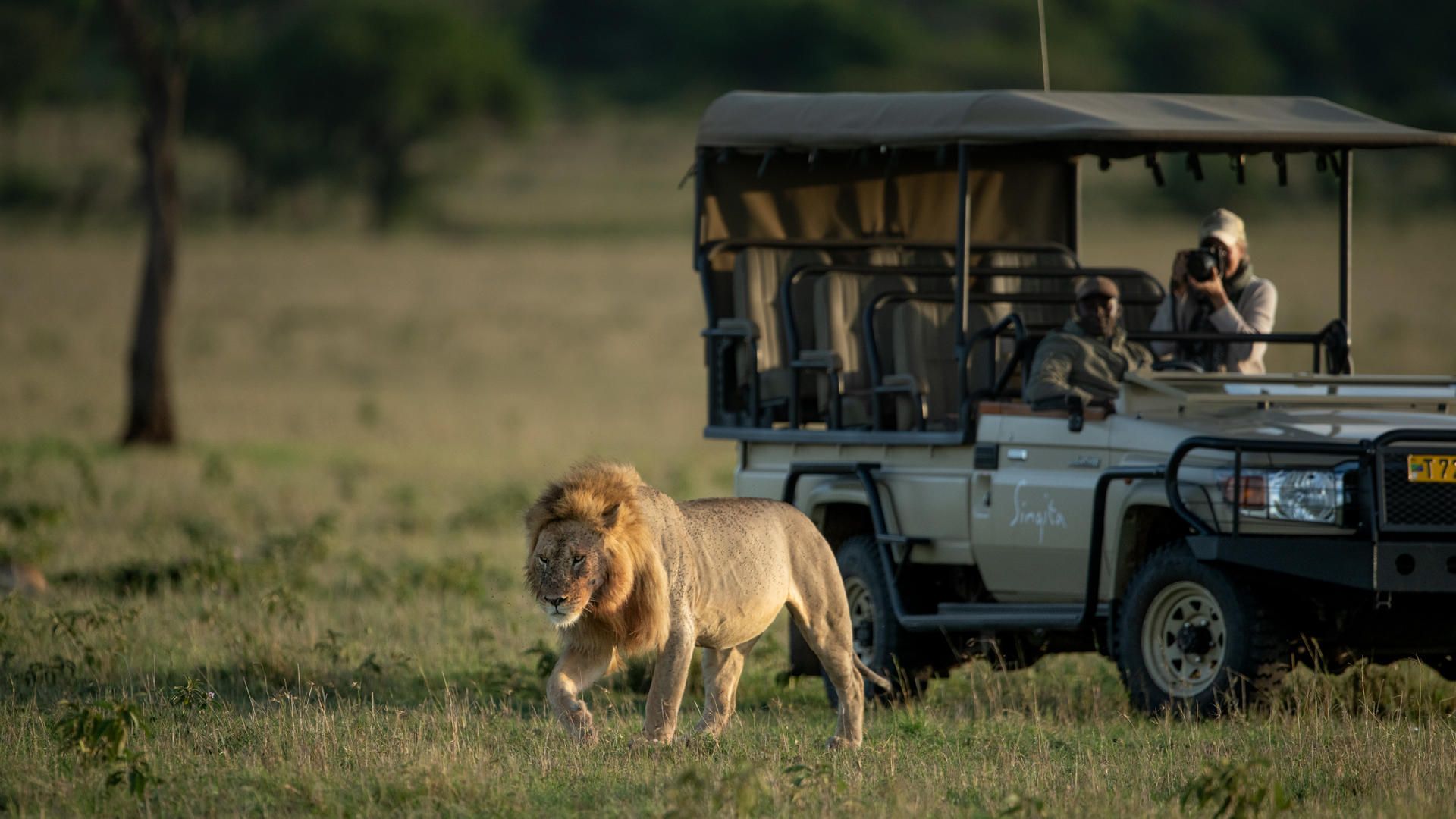 Game drive singita grumeti reserve ross couper 50