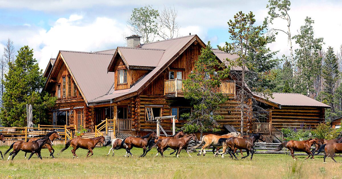 Horses galloping by lodge at siwash lake